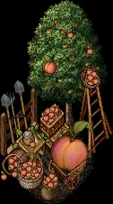 icon peachharvestmaster