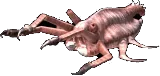 insatiablemaw