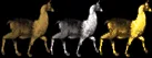 kftrophyderby
