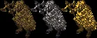 kftrophygladiator