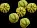 LargeGourdPile