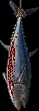 largehangingfish