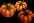 LargePumpkins
