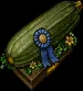 largestzucchiniprize