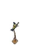 livelyparrotperchdeed