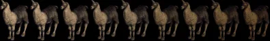 llama18281836