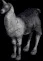 llama1891