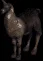 llama1927