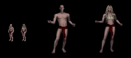 loinsash1