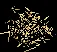 loosehay