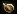 lootplantseed