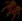 mandrakeroot2