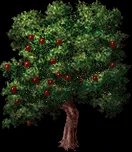 massiveappletree