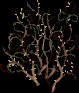 MassiveLashvine2