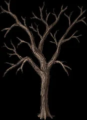 MassiveMaple