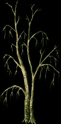 MassiveMarshwood