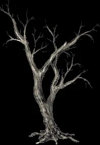 MassiveWitchwood