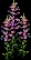 mediumsnapdragon