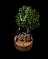 miniaturelumberjack2