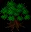 miniyewtree