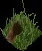 MoleHill