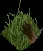 MoleHill2