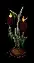 mossyantlercandle1
