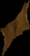mountedanimalskin