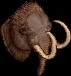 mountedmammoth