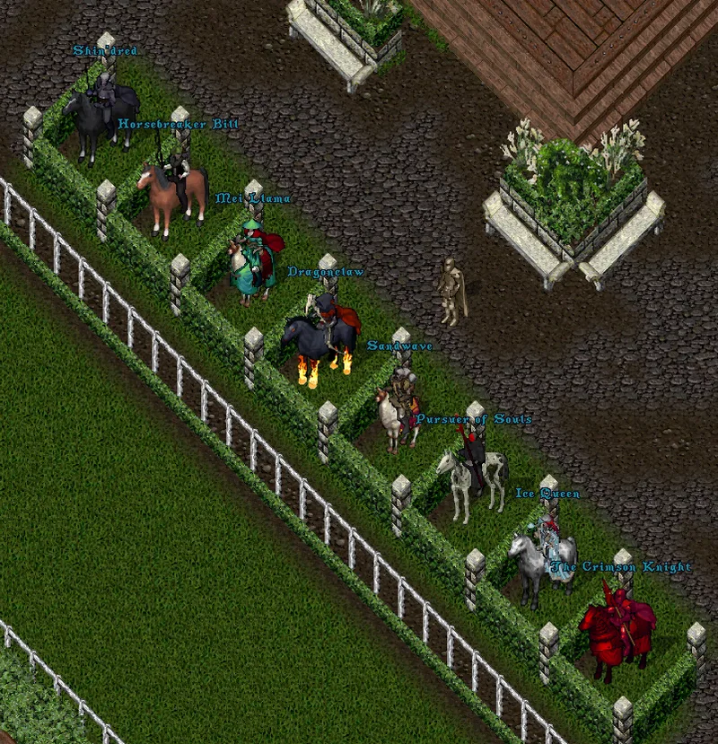 mountracing7