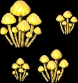 mushroom everdawn