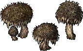 mushroom lunarbristlecap