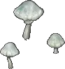 mushroom luneshroom