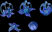 mushroom nightqueen