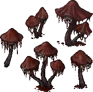 mushroom sanguineparasite