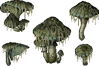 mushroom siltedgillcap