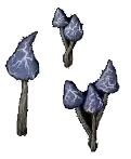 mushroom stormspire