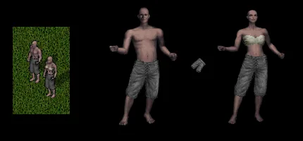 nomadshortpants