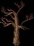 OakSapling