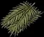 palmfrondmattress