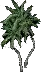 PalmSapling2