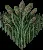 PampasGrass