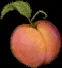 peachmassive