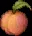 peachmedium