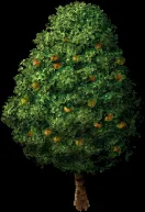 peachtreelarge