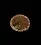 PecanPie
