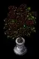 pedestalofroses