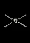 pirate