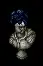 plumedknightsbust