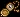 pocketwatch
